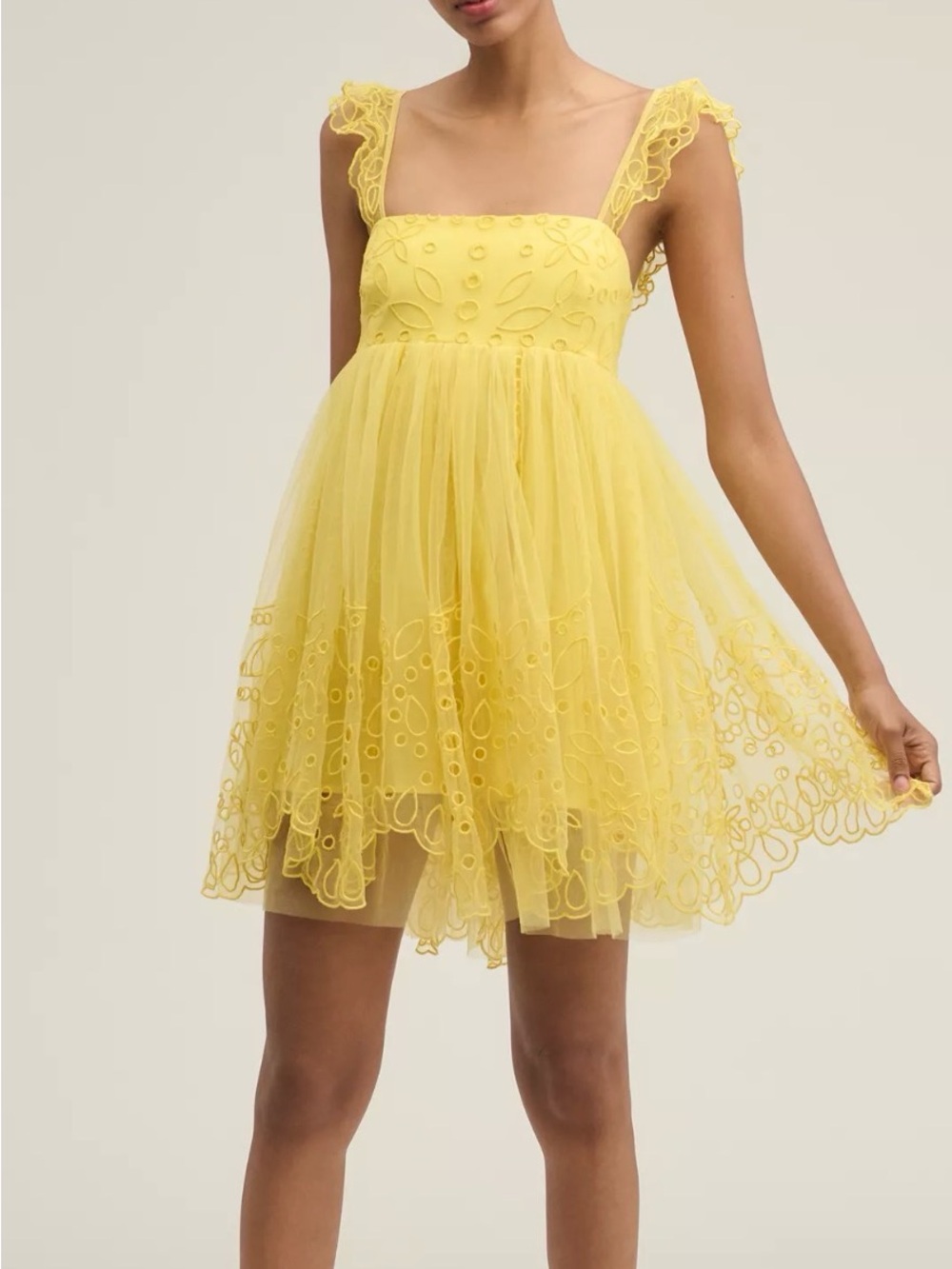 Sunshine Lace & Tulle Mini Dress